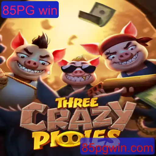 ThreeCrazyPiggies: Descubra o Mundo Animado do Jogo