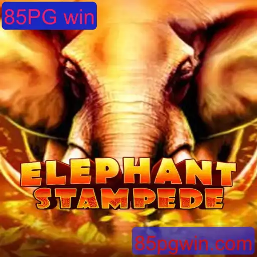 Explorando o Fascinante Mundo de ElephantStampede