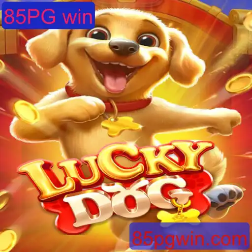 Descubra o mundo fascinante de LuckyDog: O jogo que transforma seu dia a dia