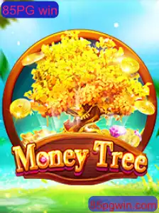 Explorando MoneyTree: Como Jogar e Ganhar com 85PG Win