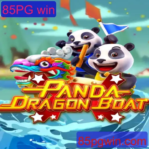 Desvendando o Mundo de PANDADRAGONBOAT